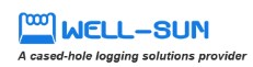Well-Sun Company Logo